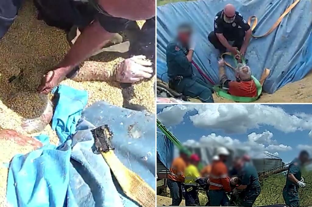 Footage captures copsâ harrowing rescue of man trapped under mountain of grain in silo